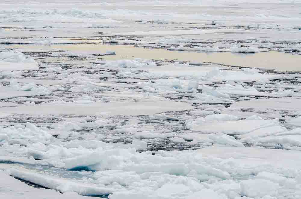 141 - Noruega - islas Svalbard - banquisa artica